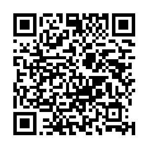 毕竟她也只是能接收到有人进出这片区域时的阵法的反馈二维码生成