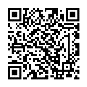 毕竟她已经不再是需要监护人来抚养照顾的未成年人了二维码生成