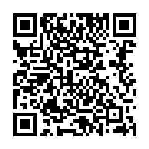 毕竟如此多的数量其中也不缺乏们炼虚境界的修士二维码生成