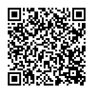 毕竟将转化寻尸者的棺材改造成人类生物培养槽的计划也只是理论上可行的二维码生成