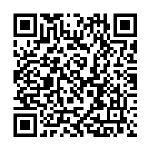 毕竟当一个强的过分的家伙莫名其妙出现在你的面前二维码生成