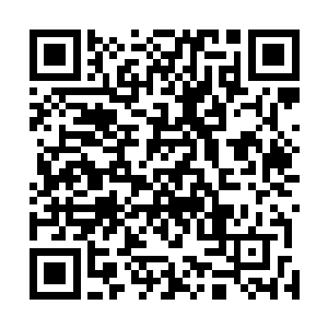毕竟当初他们作为朝廷的后起之秀一起对付申恭矣的时候二维码生成
