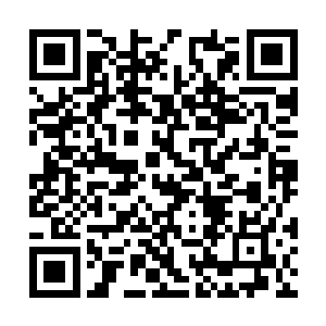 毕竟当初他可是唯一敢和司马凌轩争锋相对的选手二维码生成