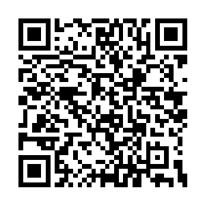 毕竟当初维克托拿来打中也就是针对黄金鸡来的二维码生成