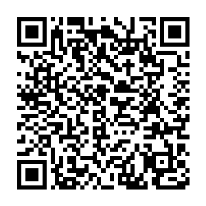 毕竟当年剑尘至尊的实力都是靠着自己的努力一步一个脚印提升上来的二维码生成