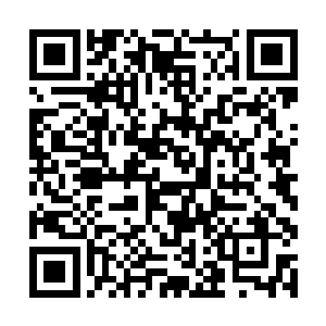 毕竟我和妘葳的童子衫让大家都不敢查问我们的身份二维码生成