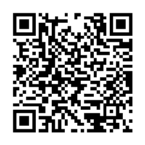 毕竟我是星空里极少数可以和仙界对抗的修士之一二维码生成