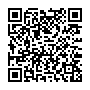 毕竟我现在的老公不希望我和前夫再有任何的关联二维码生成