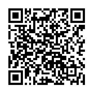 毕竟手中拿着一路来都迎刃而解破除任何攻击的法宝二维码生成
