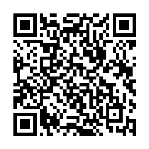 毕竟日本山组在地球的势力虽然不如一些顶尖的组织二维码生成