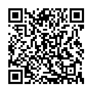 毕竟是三十六景自己用基础仙术推演组合出来的二维码生成