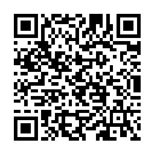 毕竟没有哪个修士会心甘情愿地听命和受制于其他人二维码生成