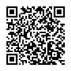 毕竟现在龙傲天的肉身想要继续提升的话可不是一件简单的事情二维码生成