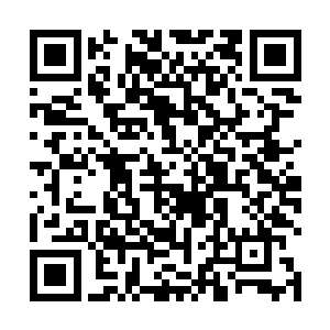 毕竟系统赠送给新手玩家的东西在玩家看来都非常垃圾二维码生成