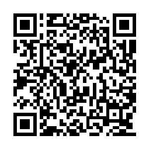 毕竟蓝色盾牌以前从来都是以数十人的规模行动二维码生成