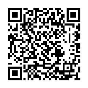 毕竟赵大膺就是凭被弹劾的功劳得到严嵩提拔的二维码生成