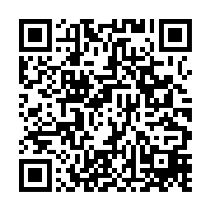 毕竟这一次他的目标就是带走瓦东河祖先的那一缕魂魄二维码生成