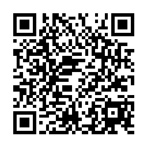 毕竟这些东西杨戬回去之后很多还是要留给杨家的二维码生成