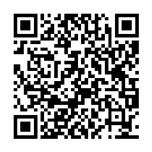 毕竟这些年无论经历什么都是云淼自己一个人承受的二维码生成