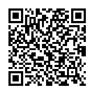 毕竟这场世纪之战所有的能量都集中在首周爆发完毕了二维码生成