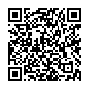 毕竟这定魂珠是韩无杀花五千万水晶币的天价买下的二维码生成