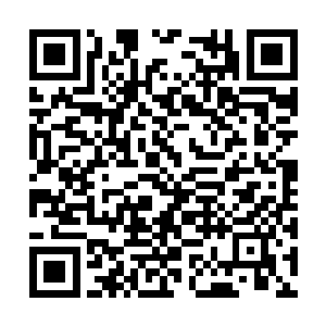 毕竟这才是开局五分钟就让对面中单拿了一个人头二维码生成