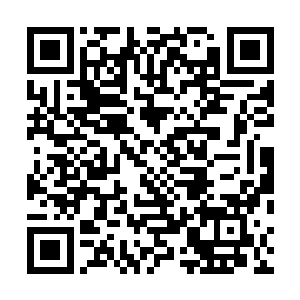 毕竟这次剑术大会相当于全世界所有用剑高手的聚集之地二维码生成