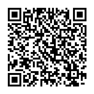 毕竟这种为了取得排名赛第一要没日没夜苦练的日子是许紫烟不愿意的二维码生成