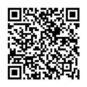 毕竟这还仅仅只是一枚金仙淬体丹的力量便已经如此神奇二维码生成