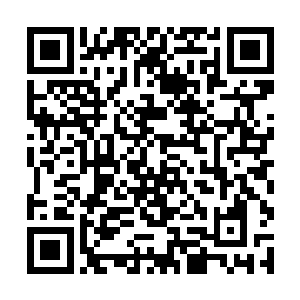 毕竟那个家伙背后可是有逍遥天尊还有丹霞神尊坐镇二维码生成