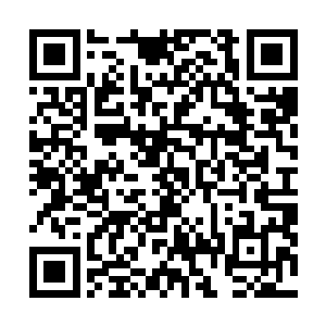 毕竟那么多的财富已经足够一个人风风火火的过一辈子了二维码生成