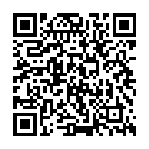 毕竟那些股份现在虽然是属于陈宝华个人所有的二维码生成