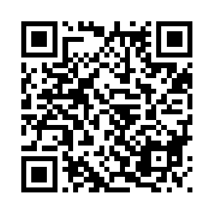 毕竟那四十万可是货真价实的支票二维码生成