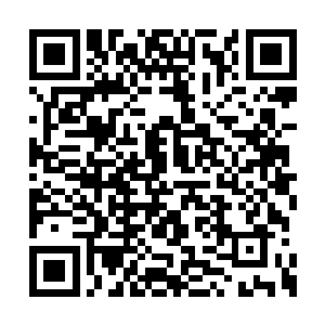 毕竟龙傲天根本就不知道无虚到底有多么的强大二维码生成