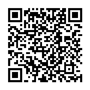 毕竟龙王也不想再因为这件事被这苏凡在这问来问去的二维码生成