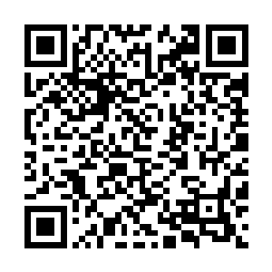 毕竟win11跟HoloLens的发布会还有两个月就要正式开启了二维码生成