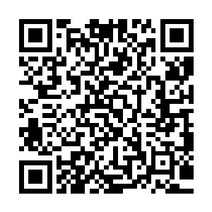 毛小驴的声音这个时候在多宝神帝和杨风的脑海里面响了起来二维码生成