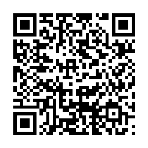毛民蛊仙们对于方源的态度发生了翻天覆地的转变二维码生成