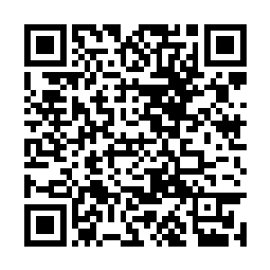 毛跃他们他们三个甚至都顾不上检查这一拳的效果二维码生成