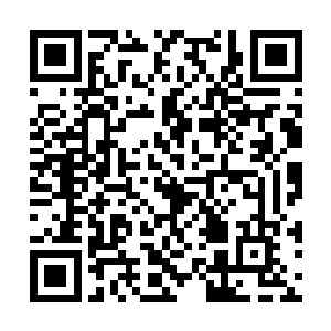 毫无客气地朝着那散发着金色光芒的碎片扑了过去二维码生成