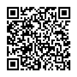 毫无疑问的……这个收容间的隔音设备已经损坏或是被关闭了二维码生成