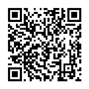 民盟和其他政党要想撼动巩发党一家独大的局面不太可能二维码生成