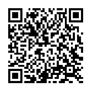 气坏了身体青莲姨夫和君表哥都会心疼的……姨母……二维码生成