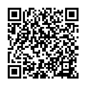 气息浑厚在化神境界的修士中定是最顶尖的存在二维码生成