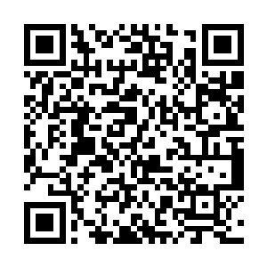 气球幻灭后无数金色的向日葵花瓣如雪片般飞舞飘零二维码生成