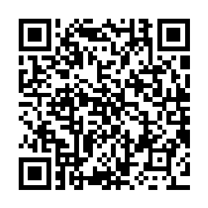 气罩之内的八种草药的粉末开始围绕着那个白色的生命之气旋转二维码生成