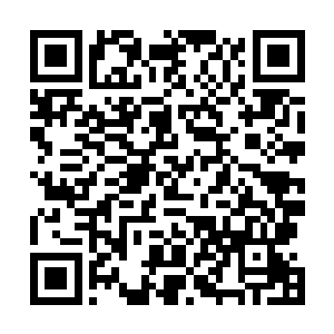 气质不俗的中年男子率领两名妖元宫弟子从外面走了进来二维码生成