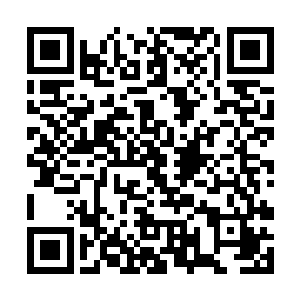 气质妹那男朋友此时已经在高三联合他手下的那些人二维码生成