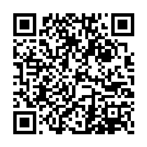 气质脱俗的东临嫣雪正盘膝坐在床榻上闭目养神二维码生成