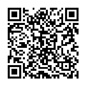 氤氲的太霄真罡宛若泉涌一般从它的眉心处汩汩而出二维码生成